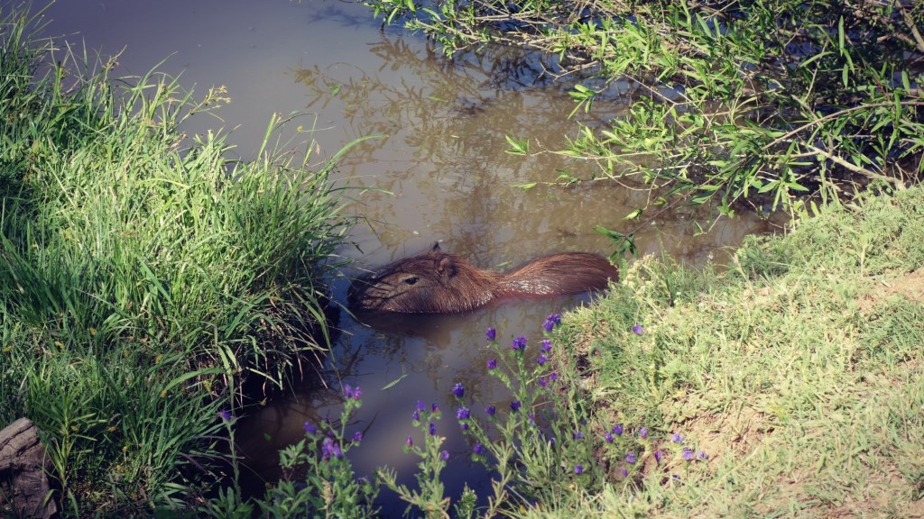 Argentinien, Entre Rios