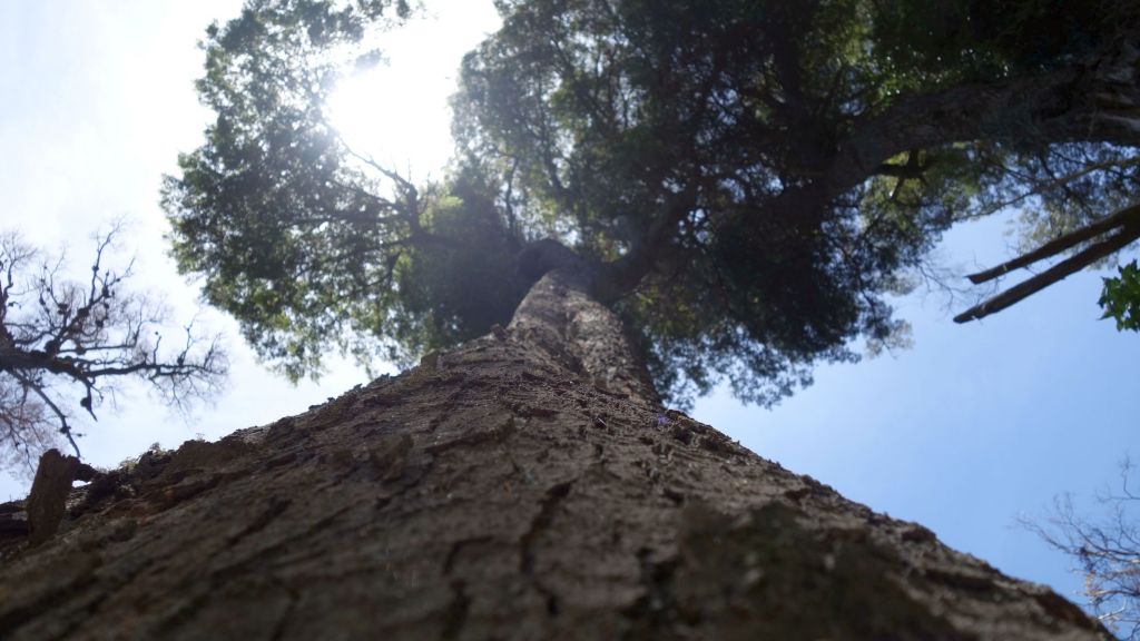 Bariloche und Parque National Los&nbsp;Alerces