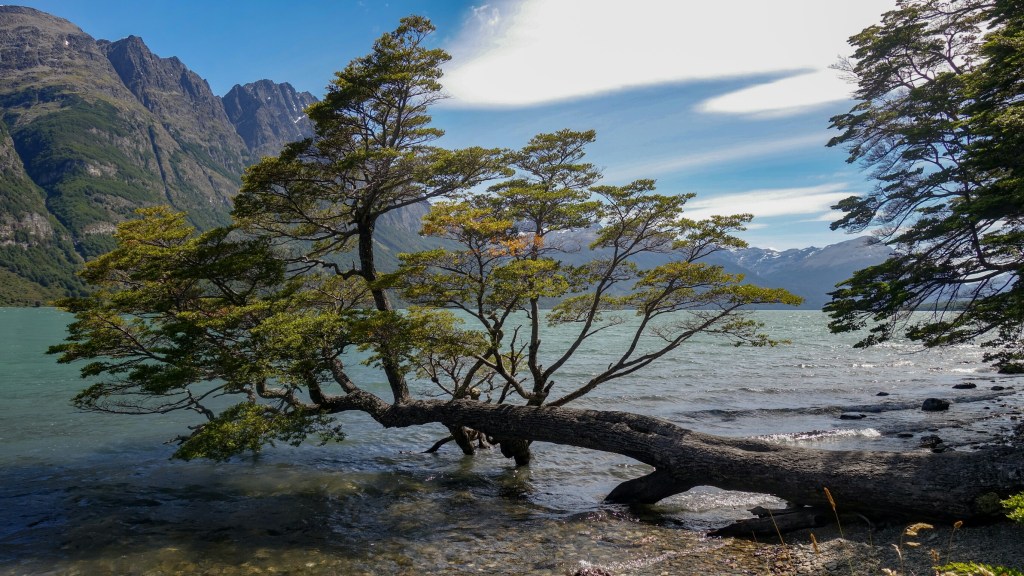 Parque National Tierra del&nbsp;Fuego